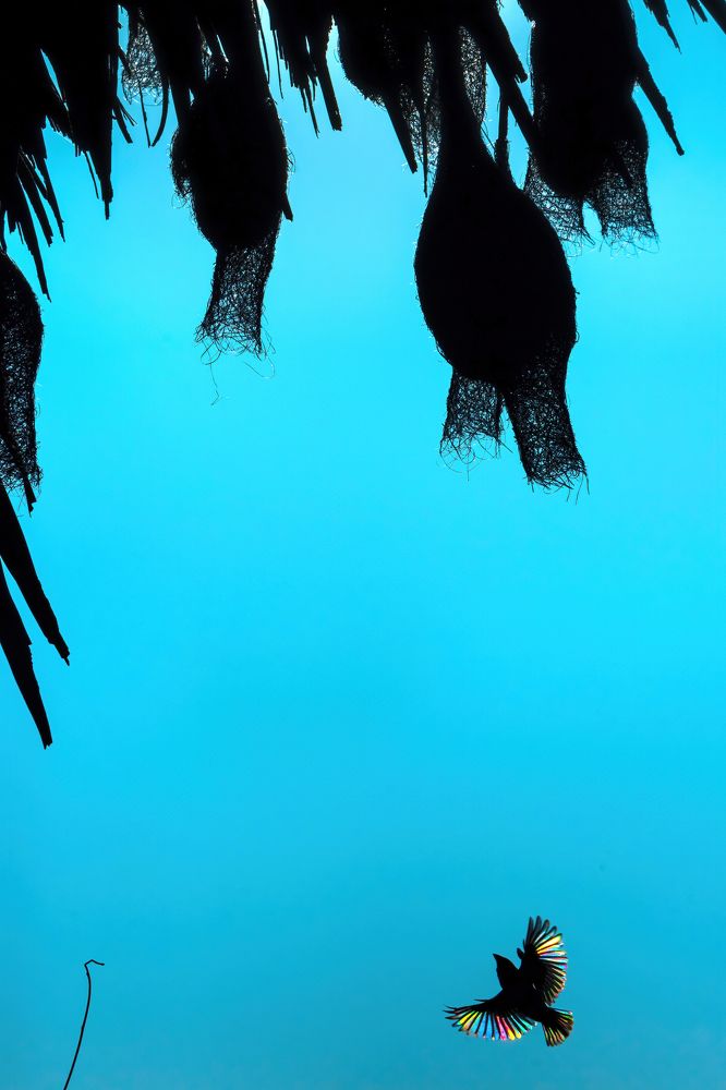 Photograph by Easa Lebbe Muhammed Jamsith