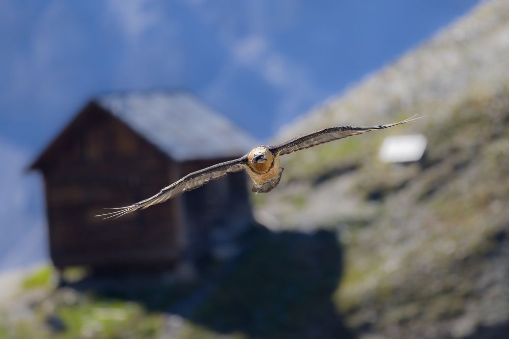 Photograph by Marco Rondi