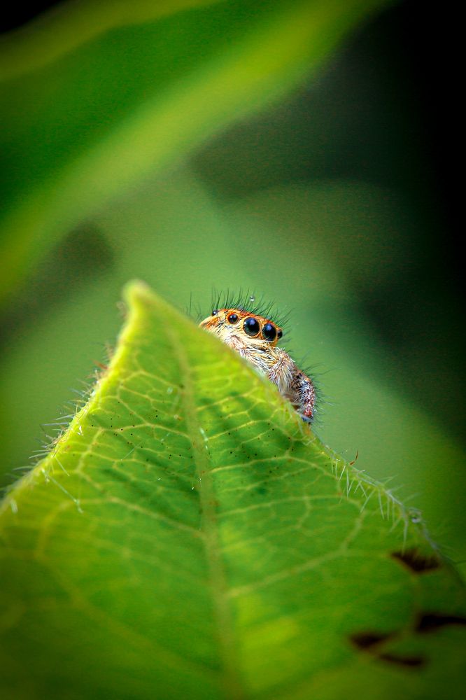 Photograph by Игорь Толкачев