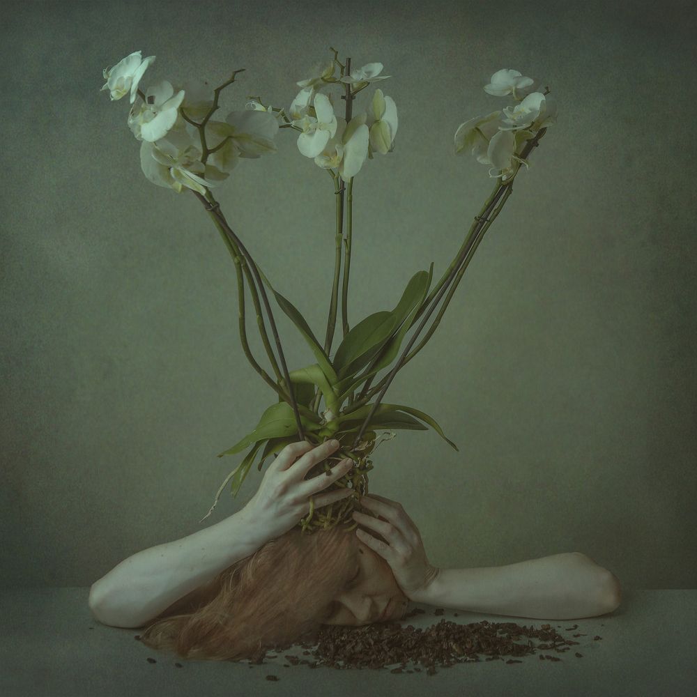 Photograph by Ира Будниченко