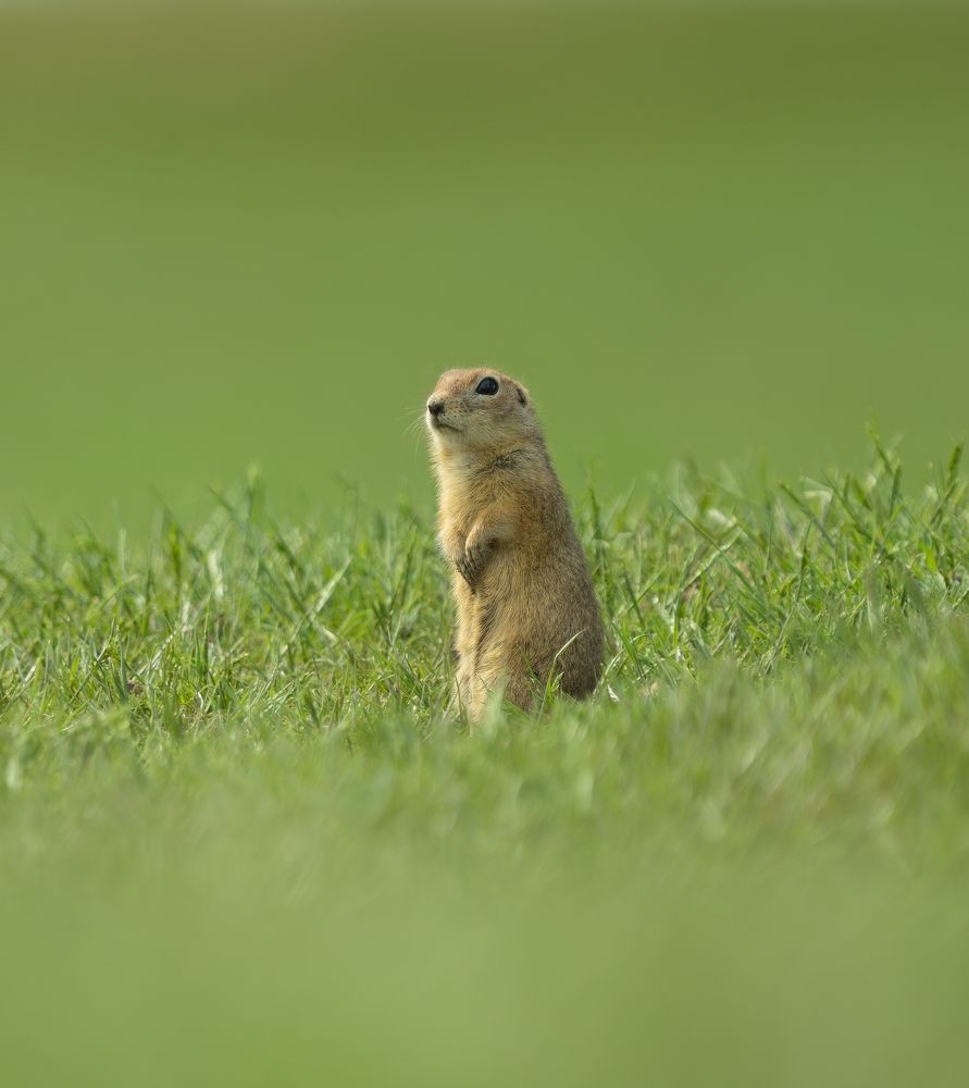 Photograph by Ирина Петрова