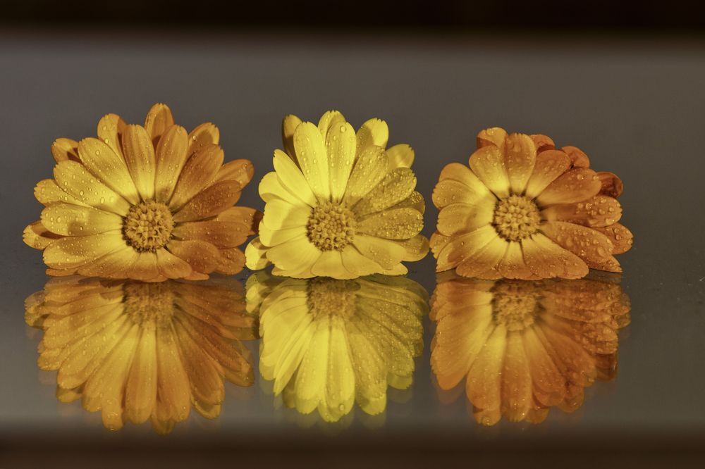 Photograph by Старцев Андрей