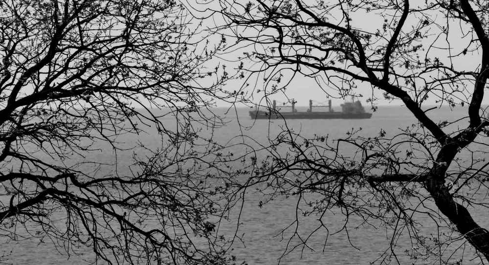 Холодное дыхание моря