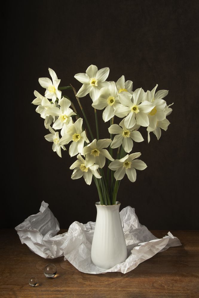 Photograph by Елена Коврижных