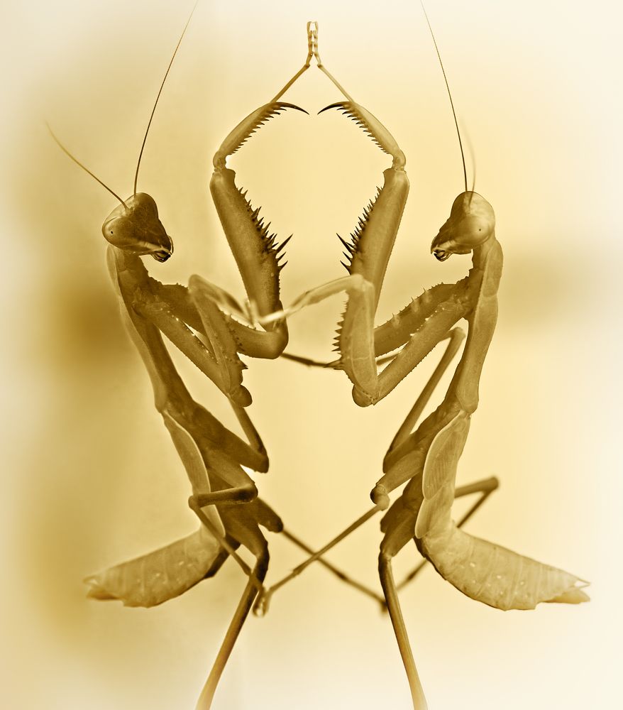 Photograph by Борис Новиков