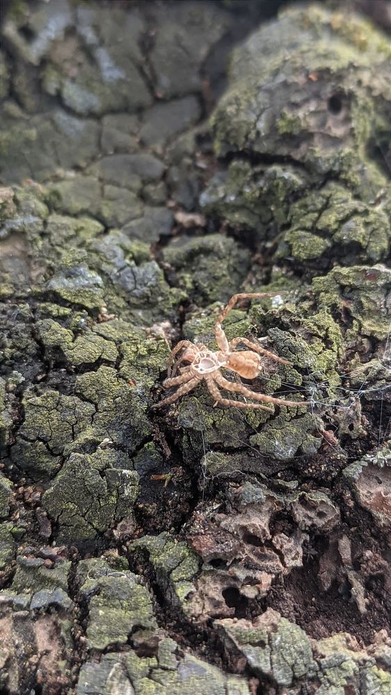Фотография автора Васильева Ирина