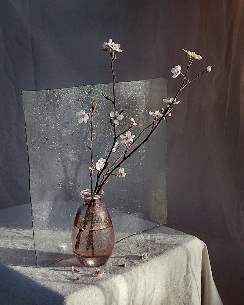 Фотография автора Инга Шевелёва