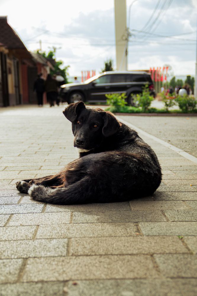 Photograph by Матвеев Денис