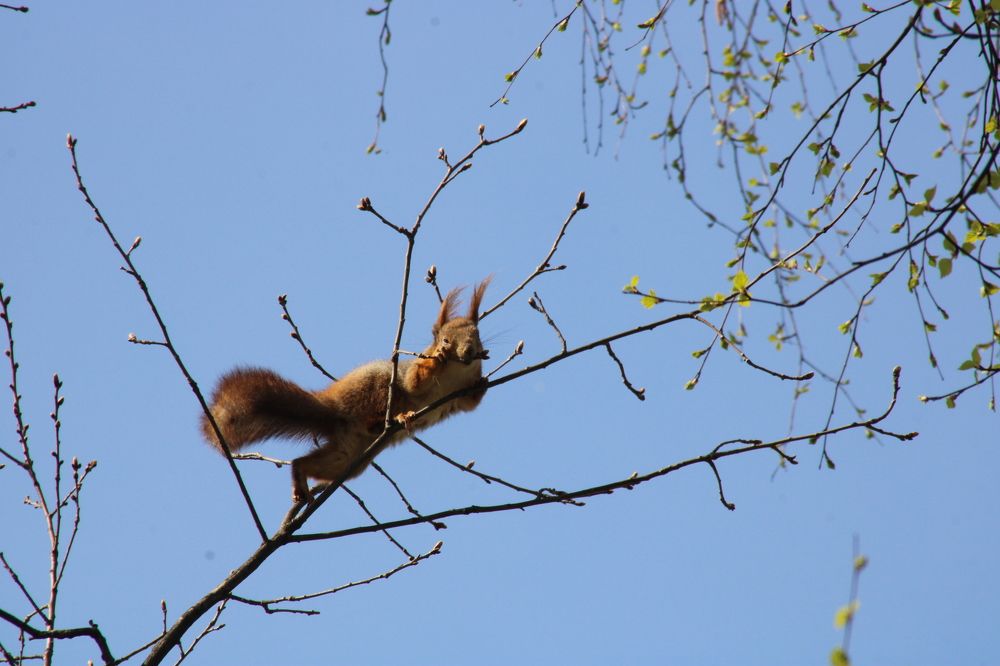 Photograph by Лев Розенберг