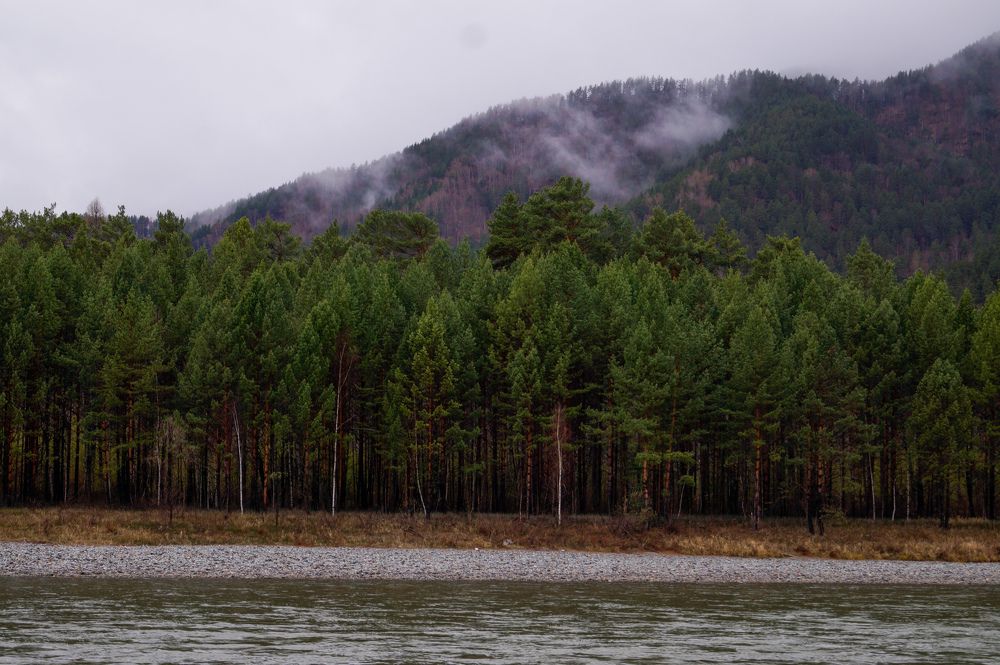 Photograph by Олеся Черкасская