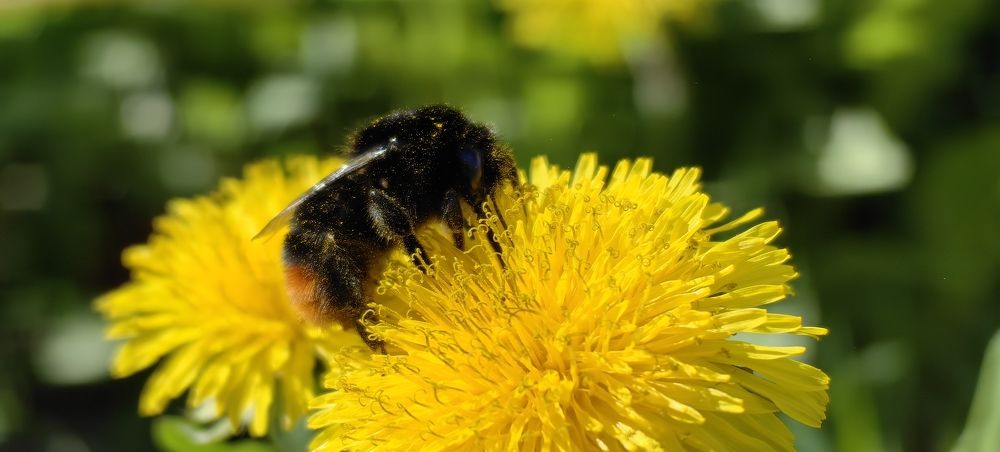 Photograph by Александр Мольков