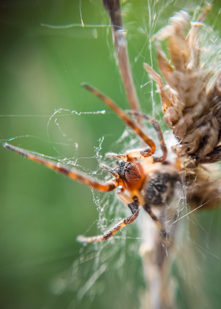 Photograph by Алексей Крукович