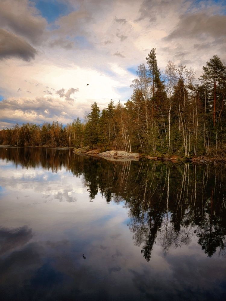 Фотография автора Alina Filimonova