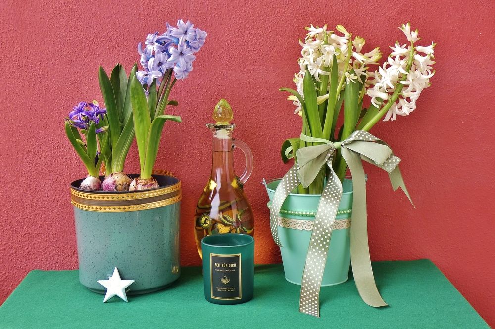 Photograph by backareva irina