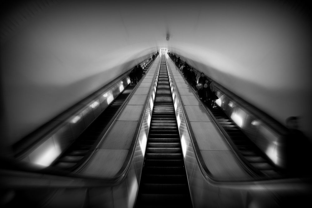 Photograph by Anna Perevozchikova