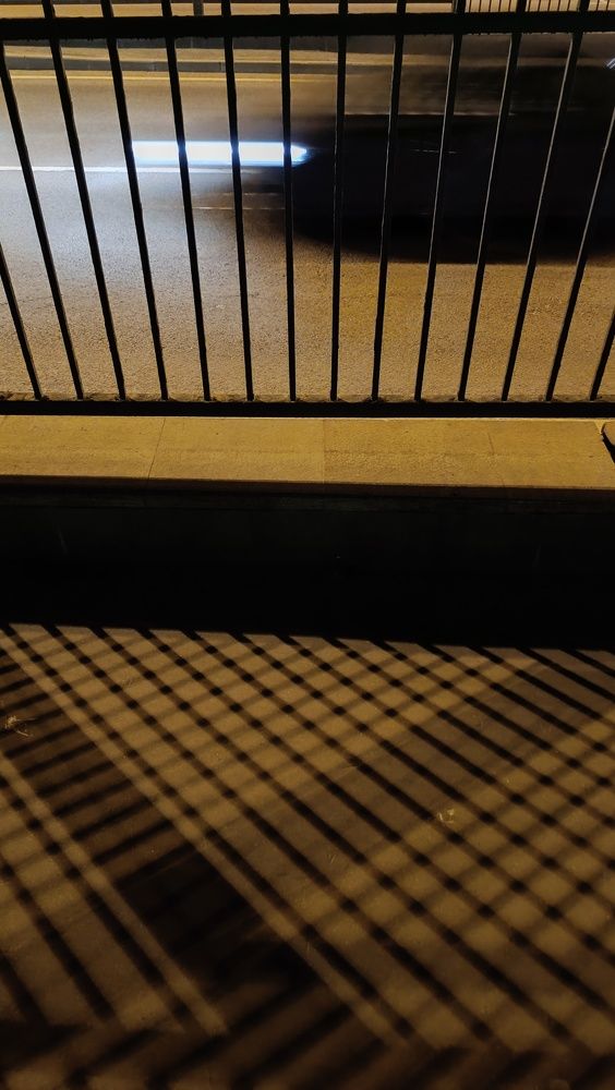 Photo #10577325