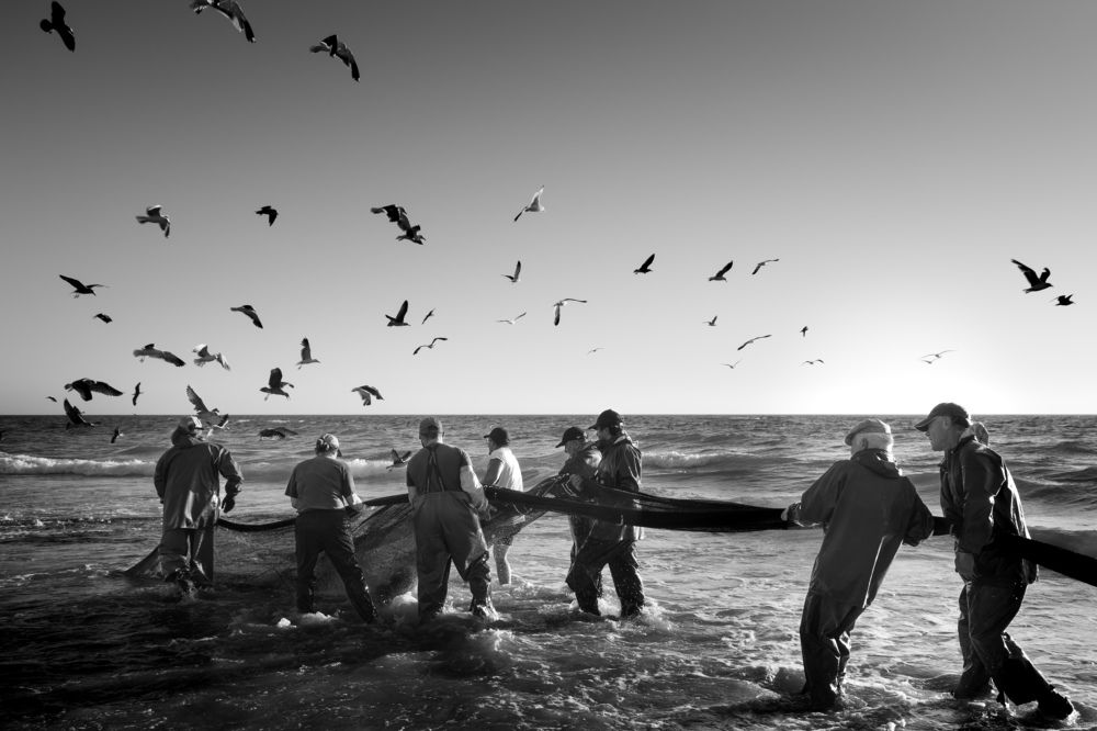 Photograph by Maria Rodrigues