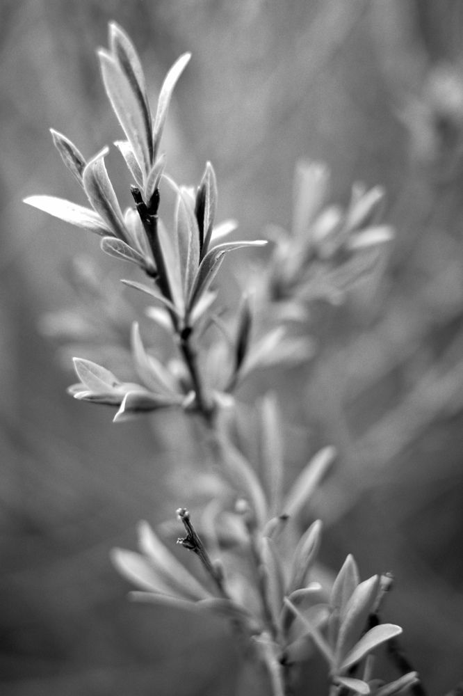 Photograph by Alb Traum