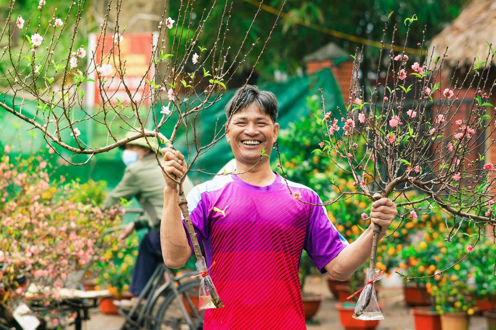 Peach blossoms on New Year's Day