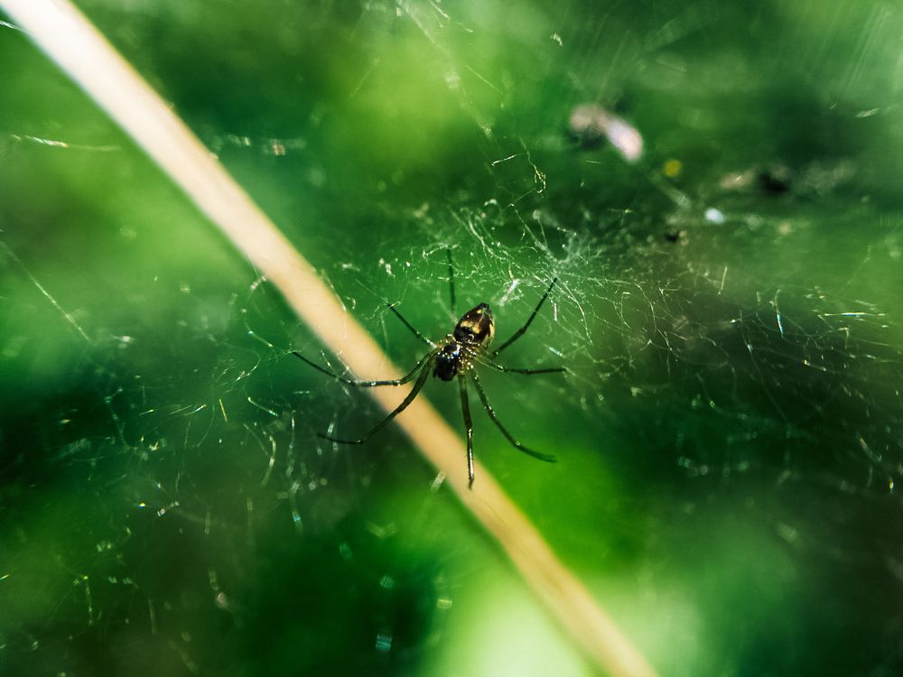 Photograph by Vitaliy