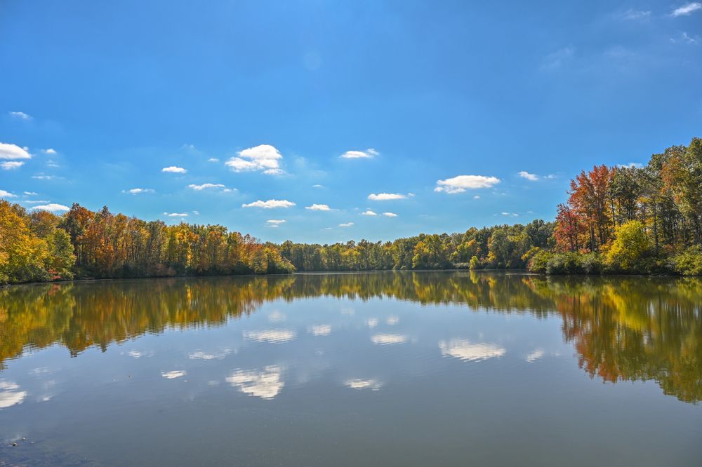 Photograph by PALLAVI