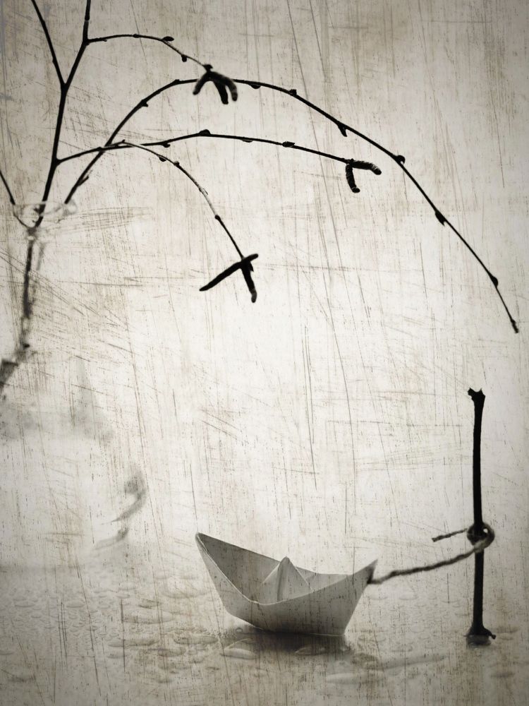 Photograph by Ольга Вороная