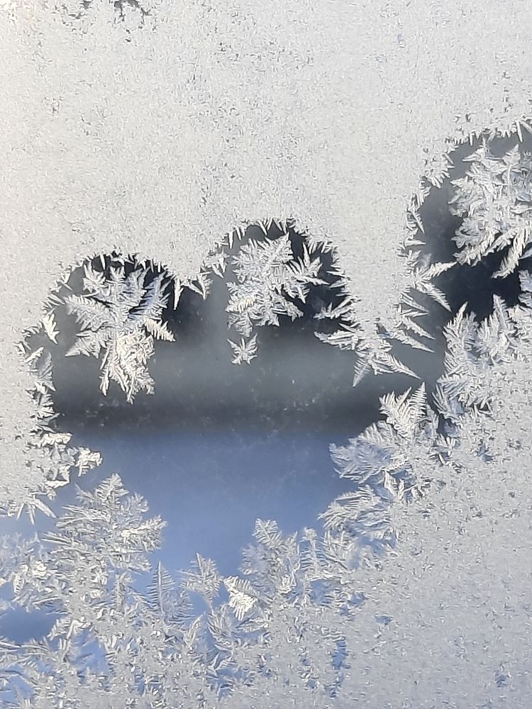 Фотография автора Ирина Якущенко