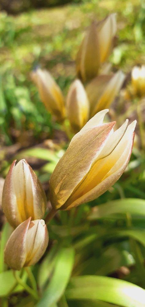 Photograph by Евгения Ульянова