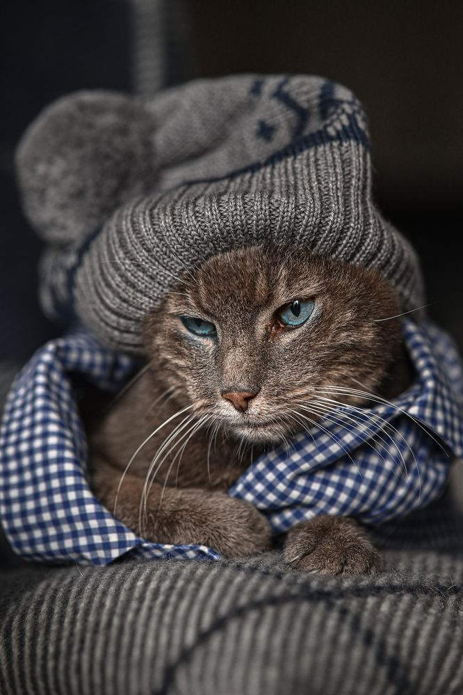 Photograph by Ольга Кудина