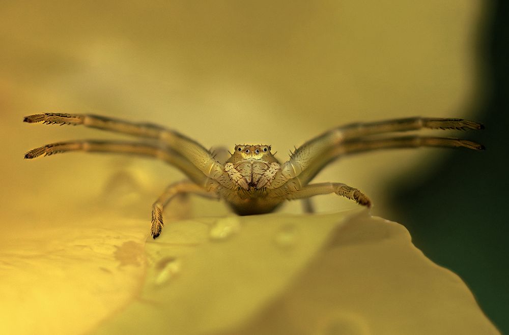 Photograph by Andrey Rut