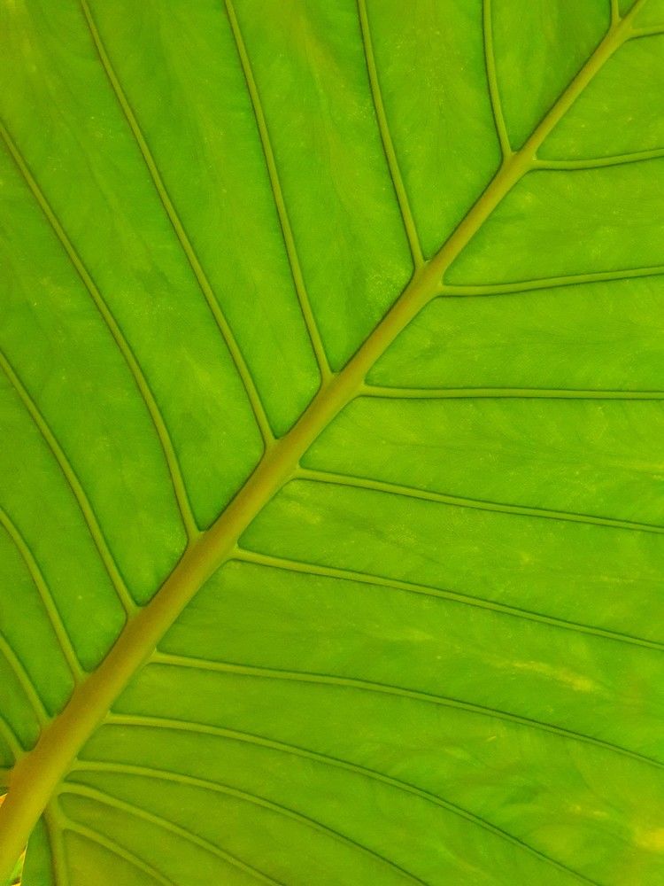 Photograph by Яна Галимуллина