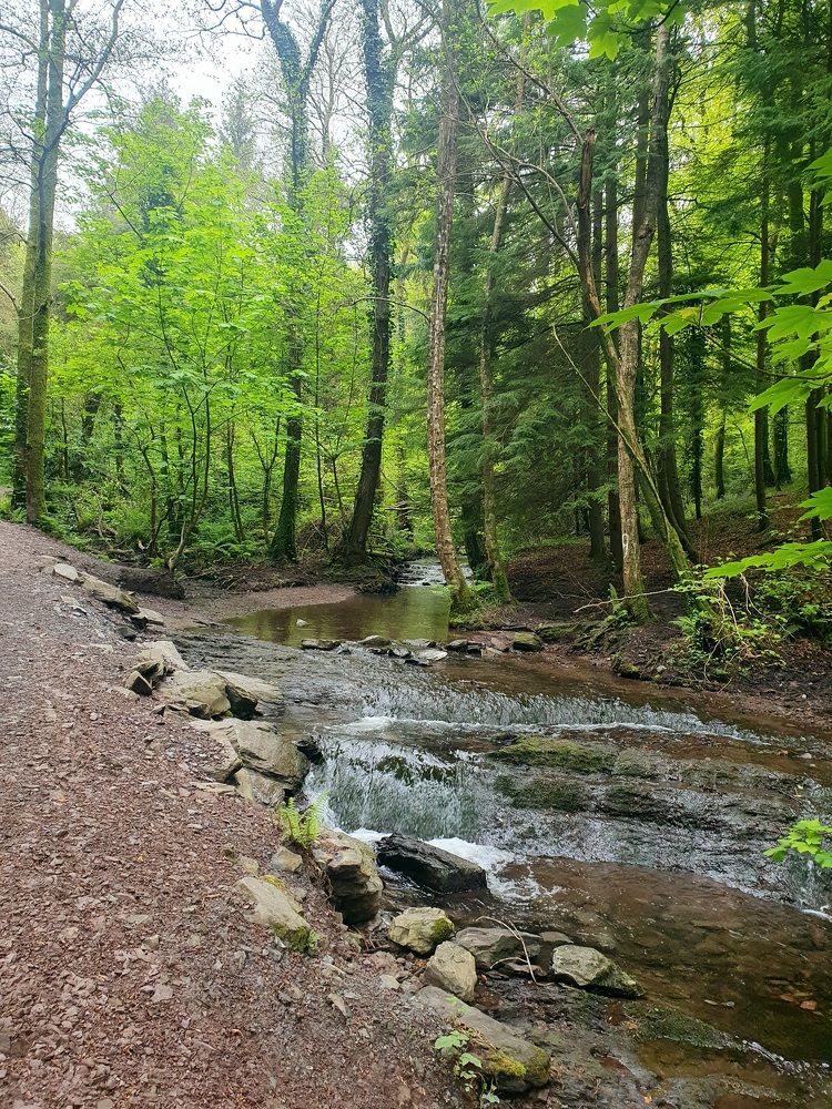 Photograph by Jasmina Zafer