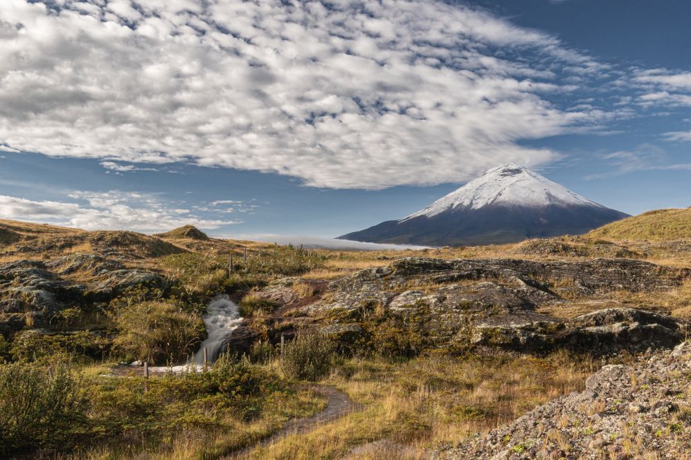 Photograph by Susie Castellano