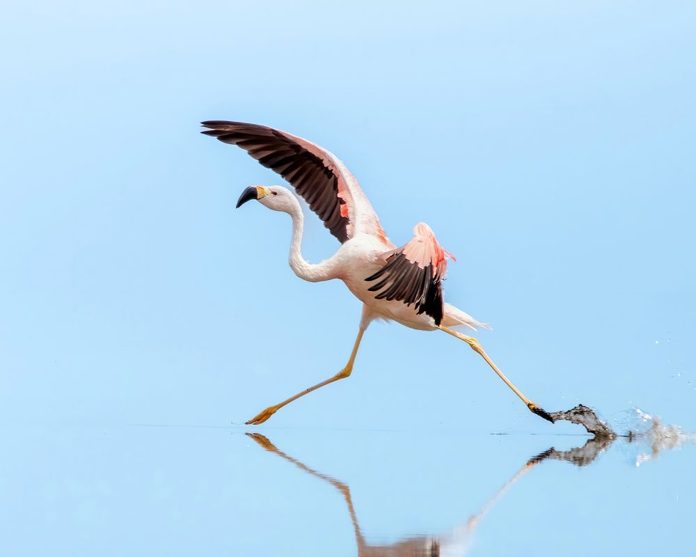 Photograph by Kevin Rauld