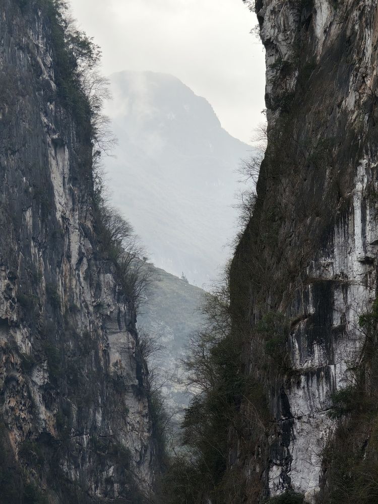 Photo #10577974