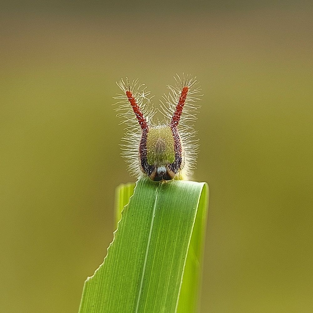 Photograph by Debroto Photography