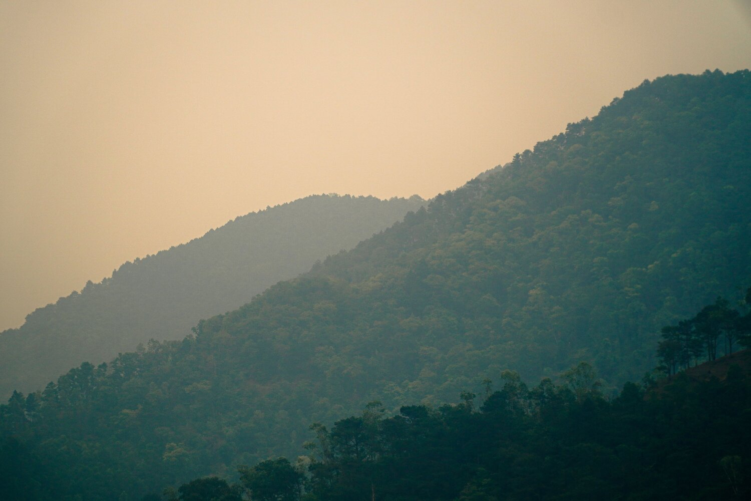 Photo #10578065