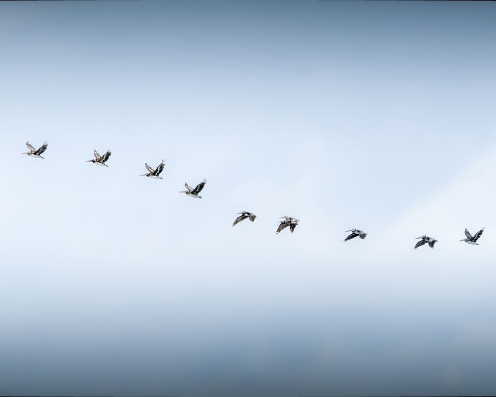 Photograph by Kevin Rauld