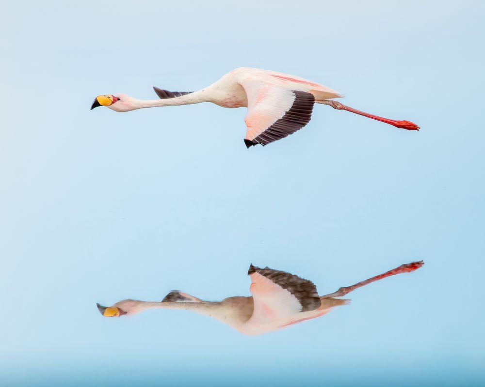 The perfect reflection