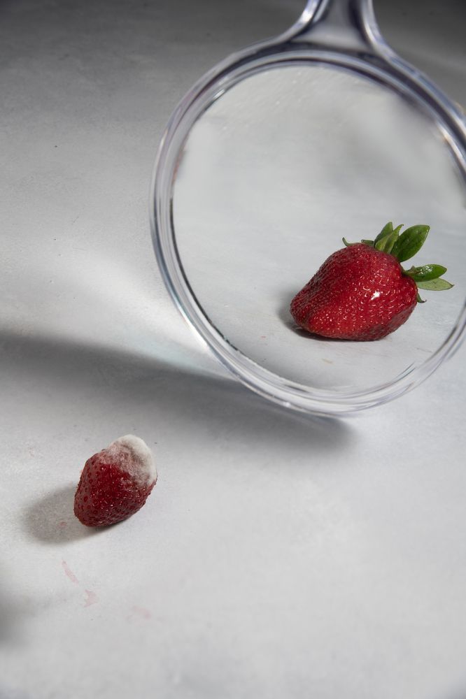 Photograph by Sarah Mirzakazemi