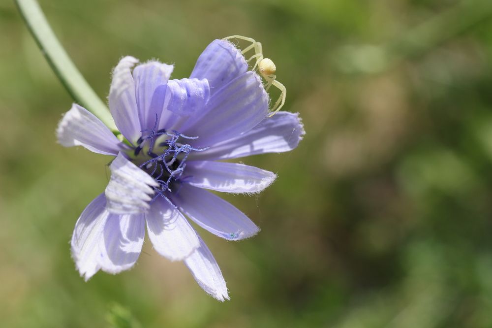 Photograph by Уктам Джалалов