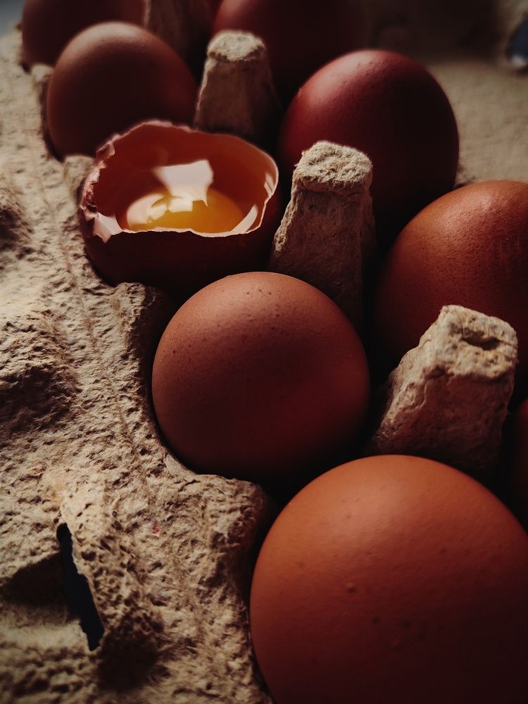 Photograph by Аксиния Михеева