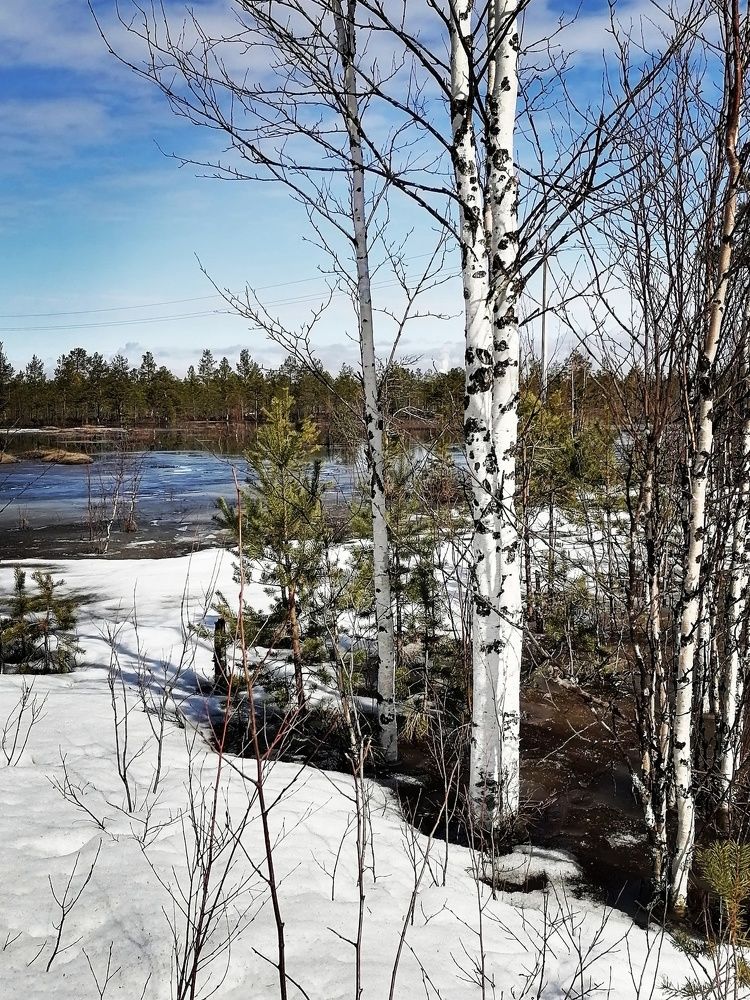 Весна началась.