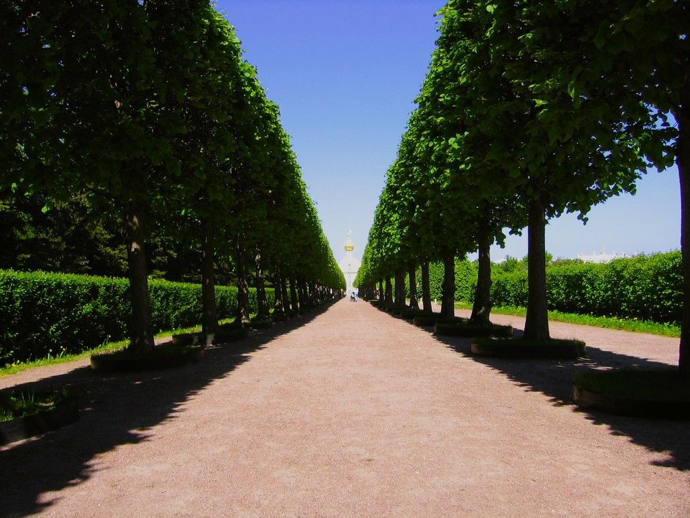 Photograph by Владимир Грибков