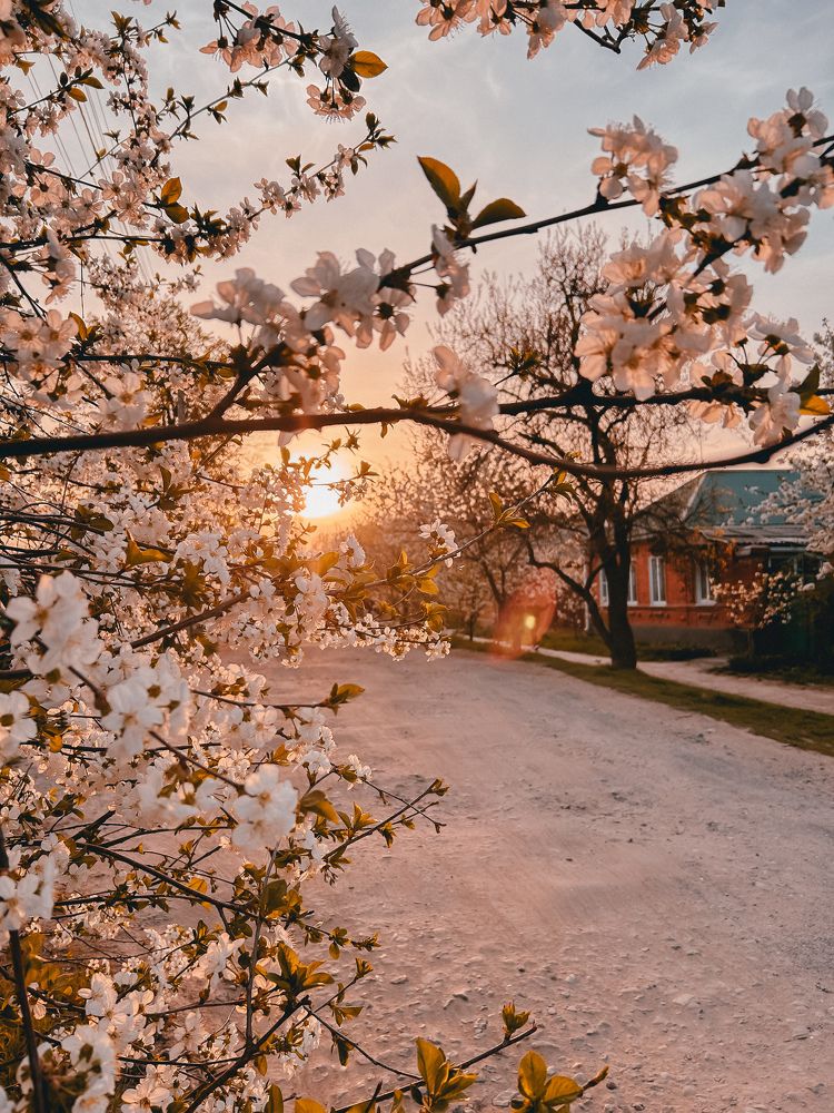 Photograph by Оксана Богачёва