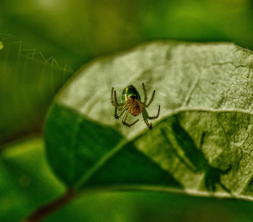 Photograph by Василиса Прекрасная