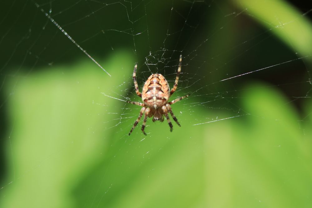 Photograph by Дарья Дрыночкина