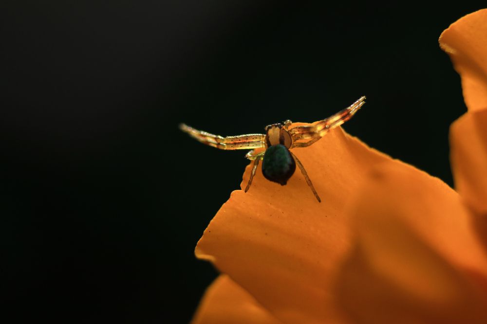 Photograph by Дарья Дрыночкина