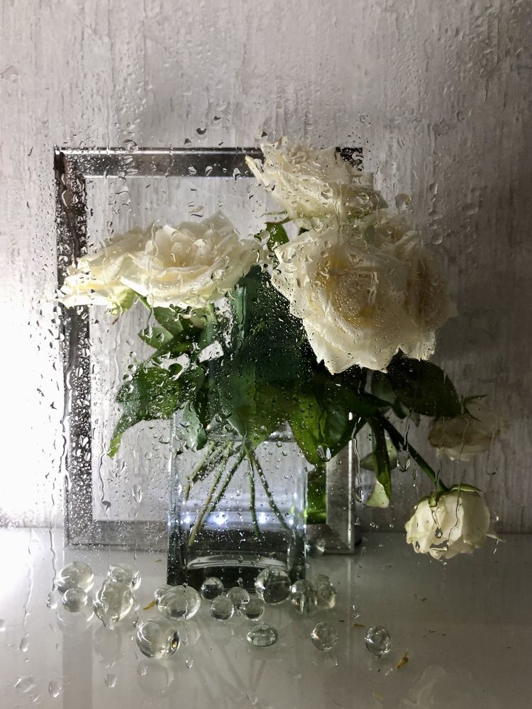 Photograph by Галина Пименова