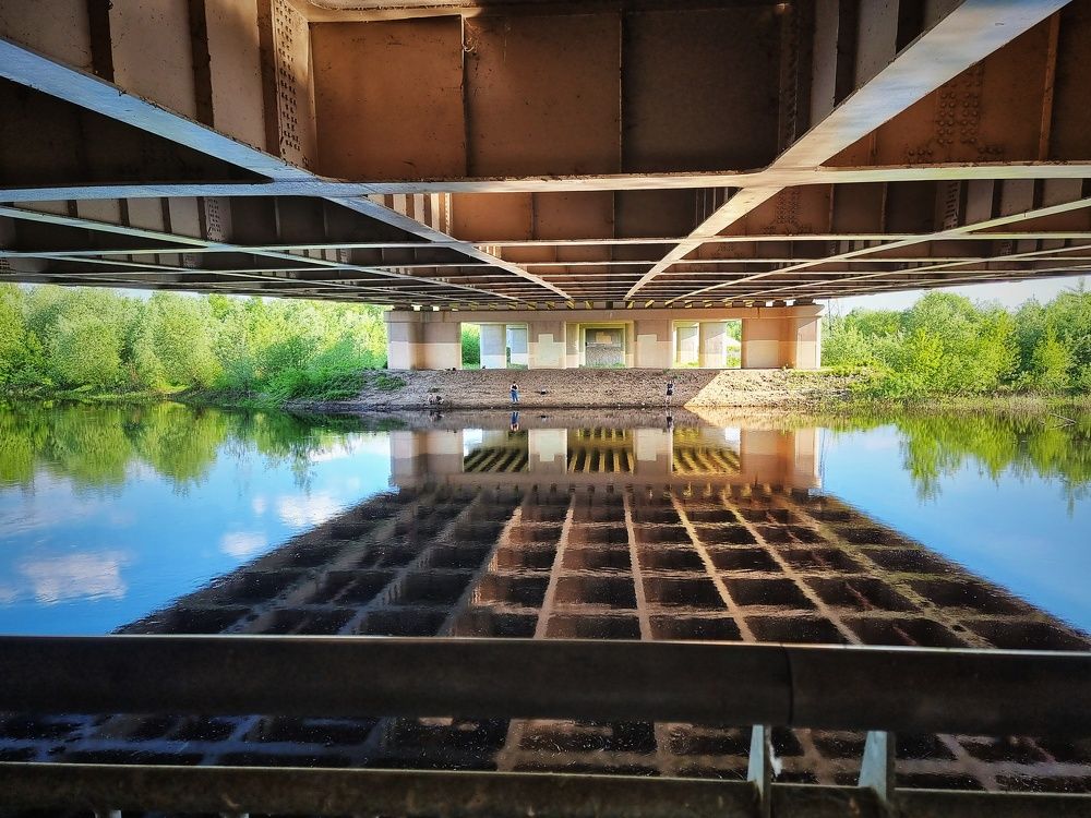 Фотография автора Дана Богинская